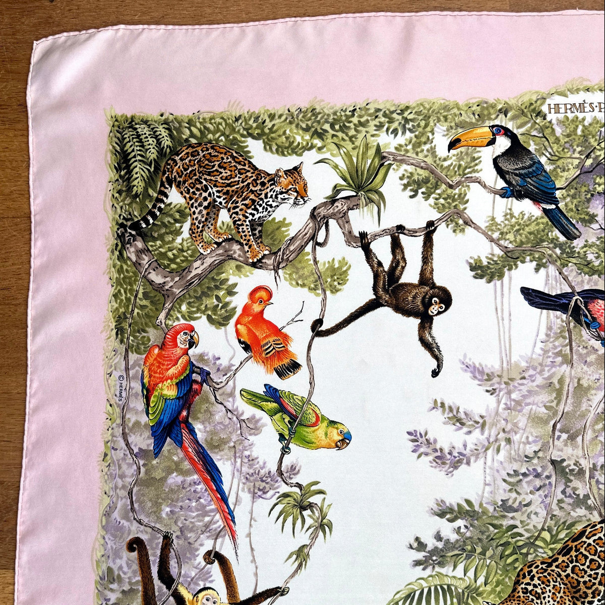 Carré Hermès Équateur de Robert Dallet, 90 cm en soie : coin aux aras, félin tacheté et singes, ourlet roulotté