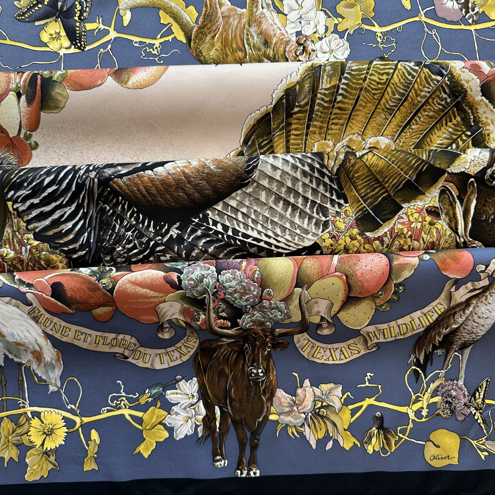 Faune et Flore du Texas - FOULARD HERMES 90 CM