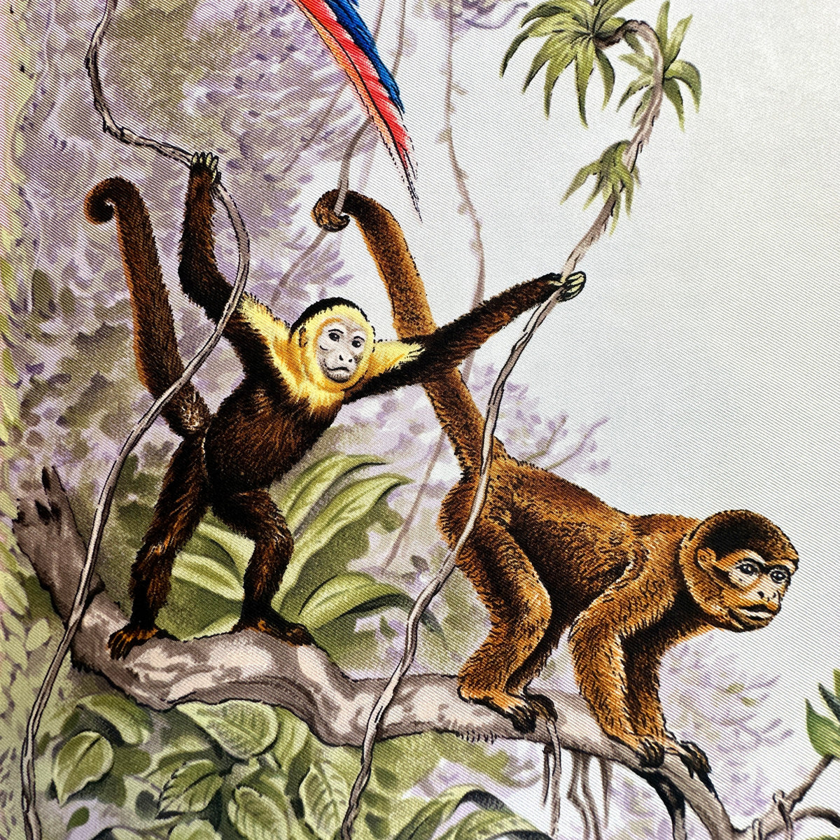 Carré Hermès Équateur de Robert Dallet, 90 cm en soie : détail des singes suspendus aux lianes
