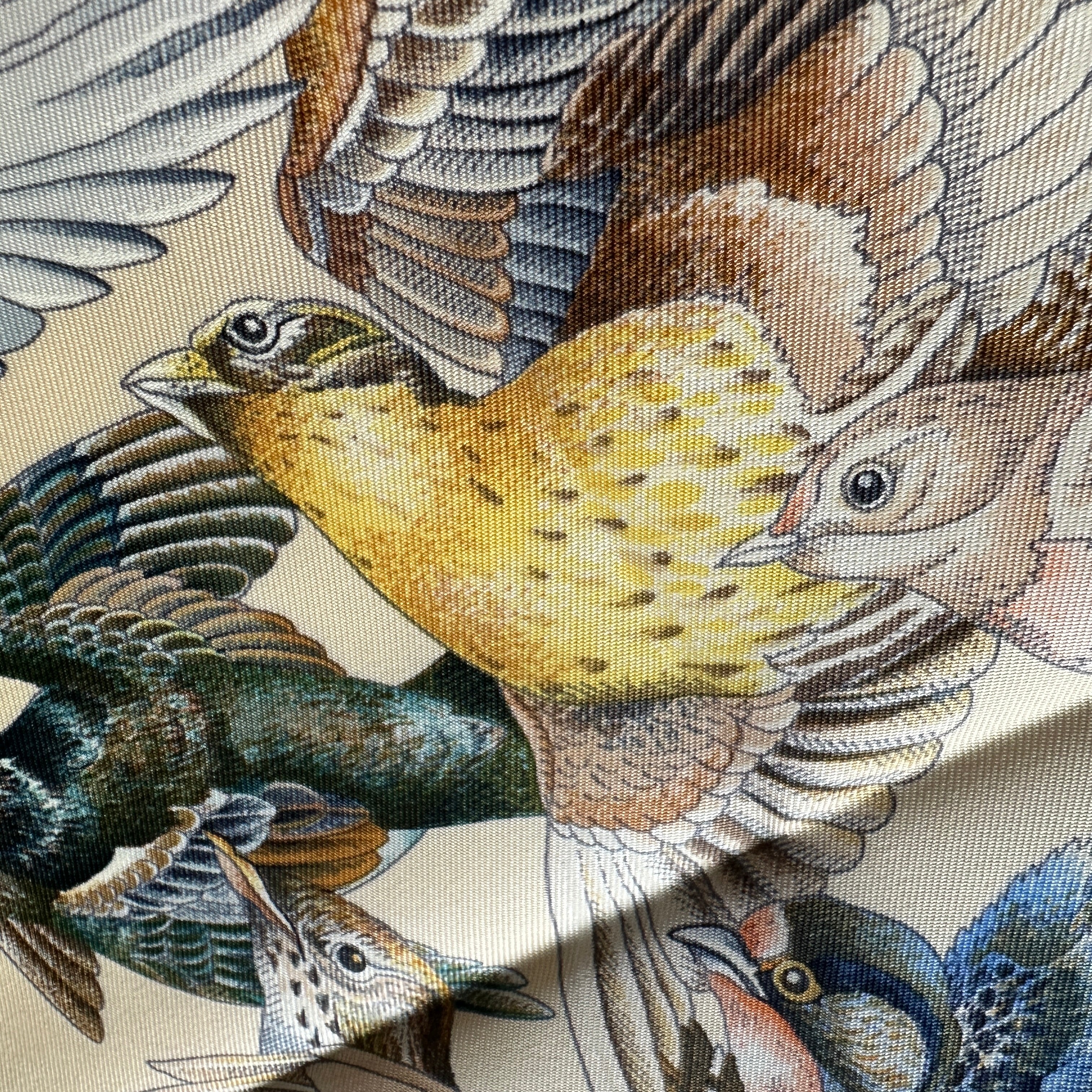 Gros plan sur un oiseau au plumage jaune doré (Gold) et détails gris, texture de la soie visible.