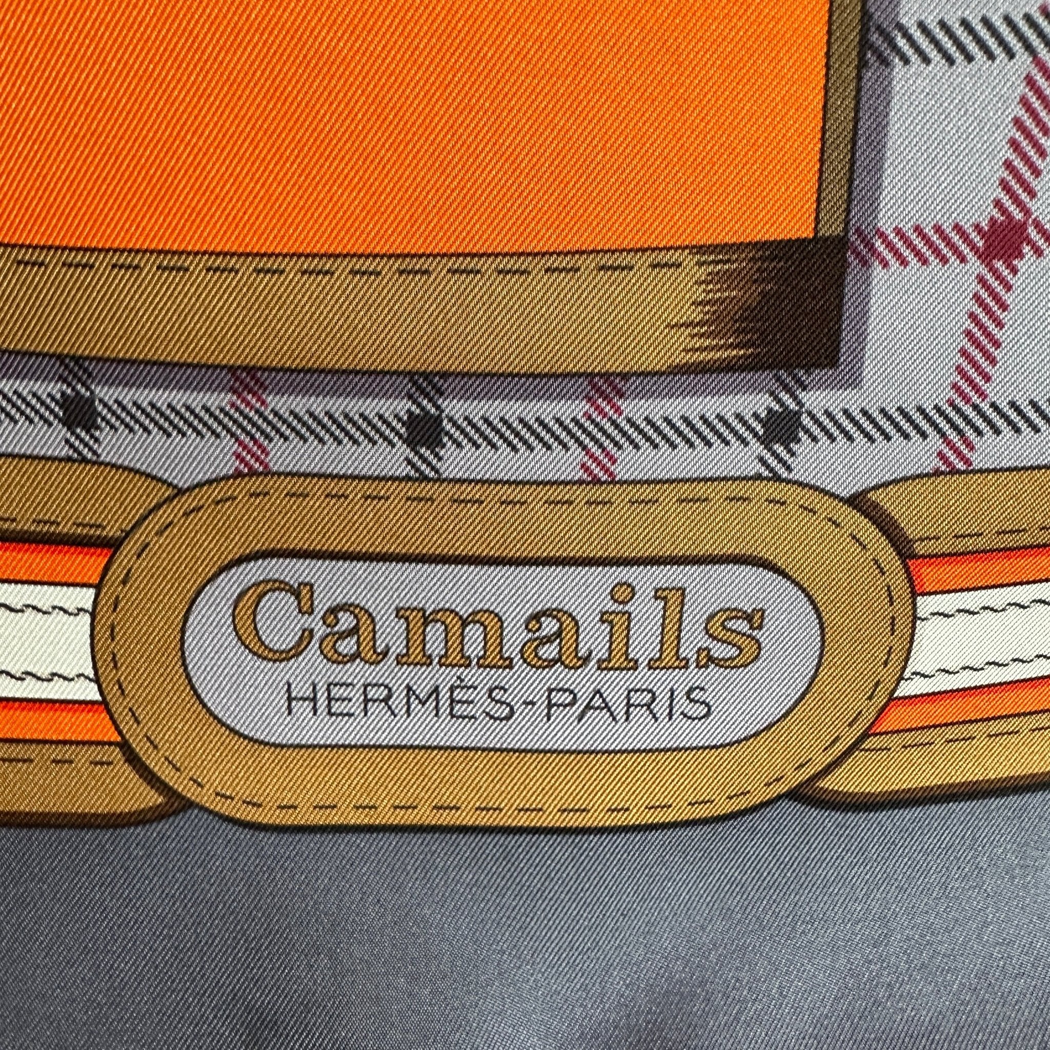 Camails - FOULARD HERMES 90CM - Carré Society