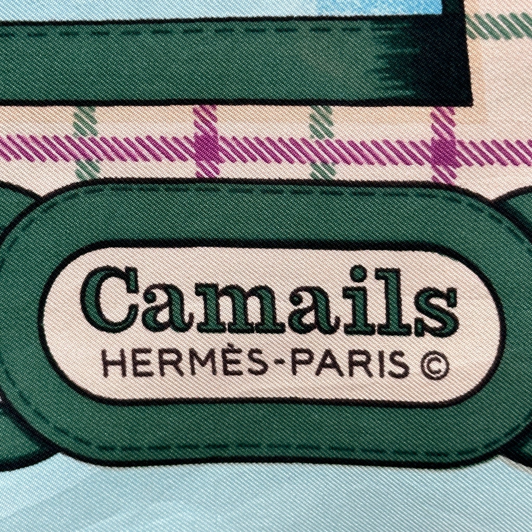 Camails - FOULARD HERMES 90 CM - Carré Society