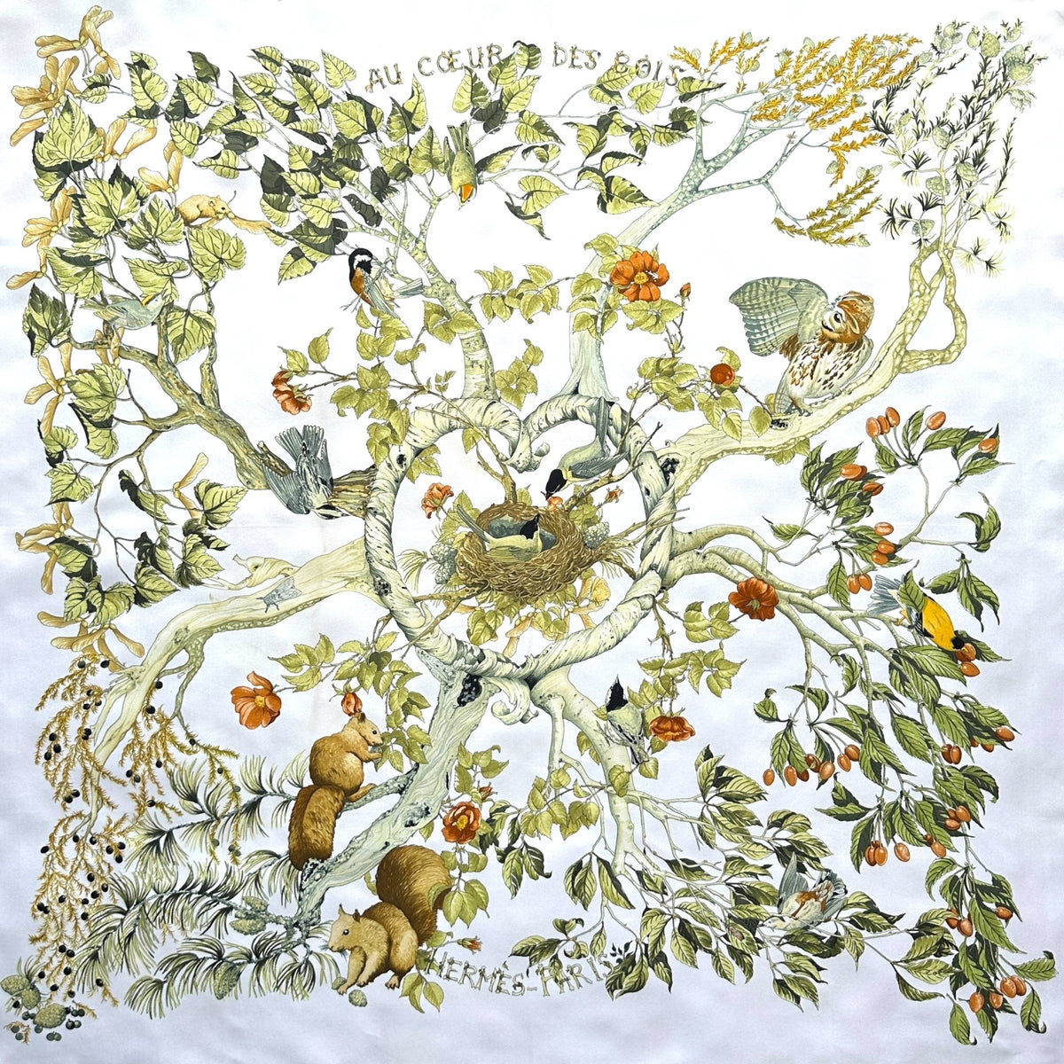 T-shirt en coton Allgood - Femme Allbirds | La Dernière Chasse