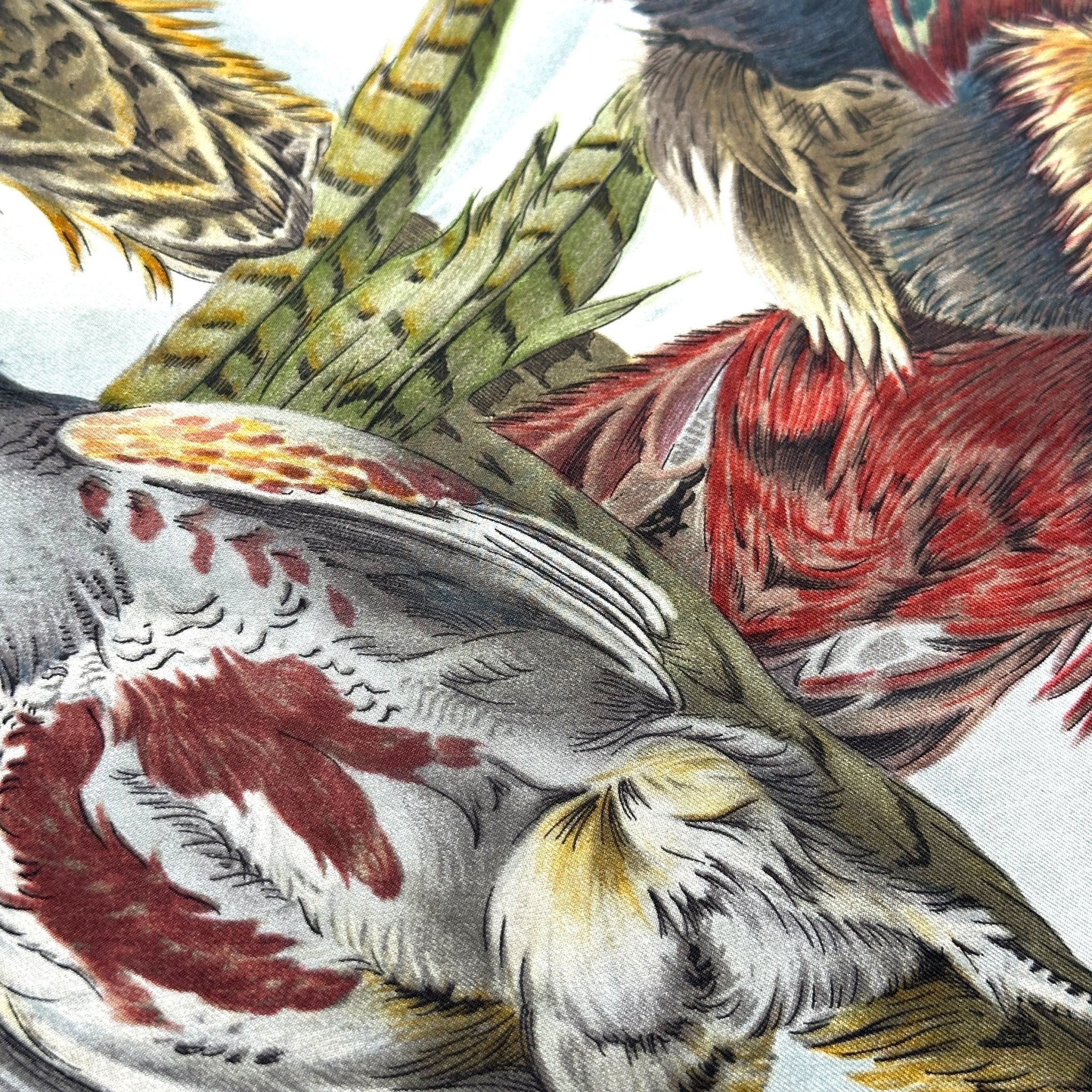 zoom sur les plumes des oiseaux 