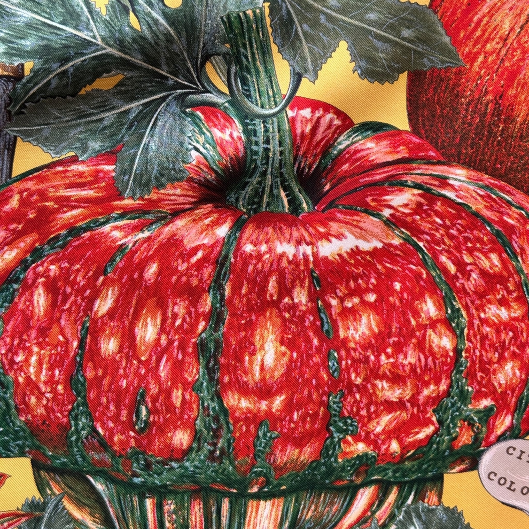 Détail du motif avec citrouille